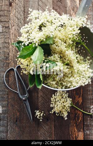 White elderberry flowers in a colander on a wooden table. Stock Photo