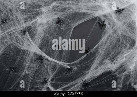 Frame made of spider web and spiders on black background. Happy halloween holiday concept. Flat lay, top view, overhead. Stock Photo