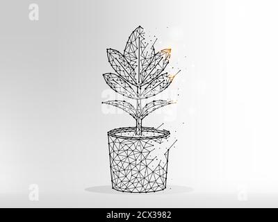 Abstract polygonal illustration of a flower in a pot. Ficus made from lines and dots on light background. Stock Vector