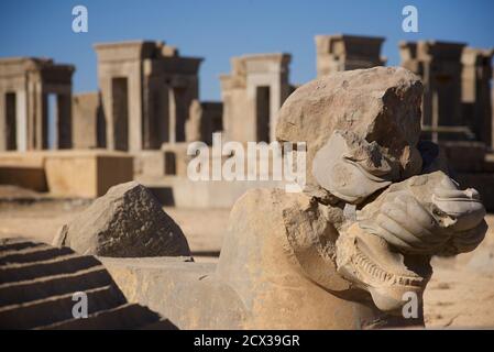 Apadana palace ruins and bas reliefs, Persepolis, Iran. Palace of Darius the Great beyond Stock Photo