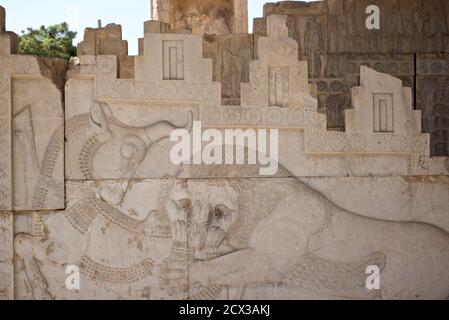 Apadana palace ruins and bas reliefs, Persepolis, Iran. Lion biting the bull. Relief depicting the symbolic coming of spring and the Nowruz festivity, through lion (sun) feasting on the bull (earth); Persepolis, Iran Stock Photo