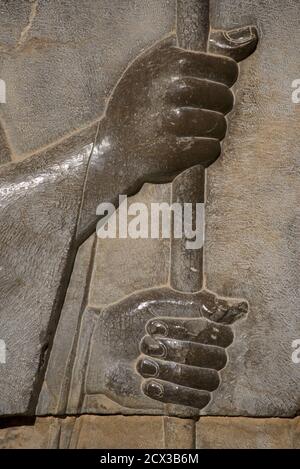 Apadana palace ruins and bas reliefs, Persepolis, Iran. Detail of carved hands and staff of a Persian soldier Stock Photo