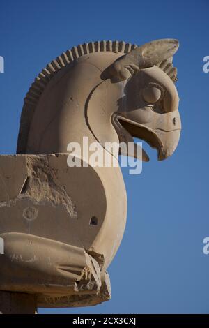 Detail of  griffin. Homa bird. Achaemenid ruins of Persepolis, Iran. Stock Photo