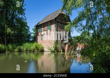 Schermbeck, Schermbeck-Altschermbeck, Niederrhein, Muensterland, Ruhrgebiet, Naturpark Hohe Mark Westmuensterland, Rheinland, Nordrhein-Westfalen, NRW Stock Photo