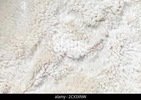 Natural white sheepskin close-up background photo texture Stock Photo