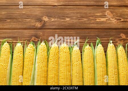 Fresh corn on cobs on rustic wooden table. Top view witn copy space. Stock Photo