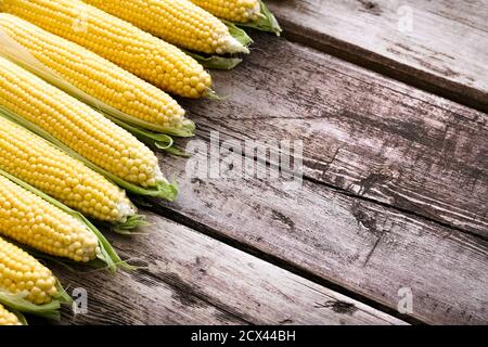 Fresh corn on cobs on rustic wooden table, copy space. Summer healthy vegetables Stock Photo