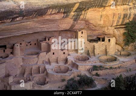 USA, Colorado, Mesa Verde National Park, Cliff Palace,, Stock Photo