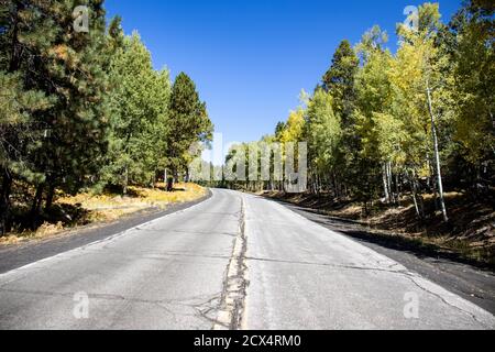 The Beginning Of Autumn In Northern Arizona Stock Photo