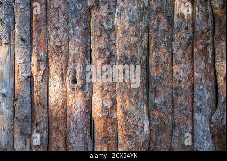 Fence of old pine logs with cracks and bark, horizontal view Stock Photo