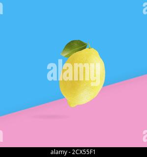 One lemon fruit isolated on light blue and pink gradient background Stock Photo