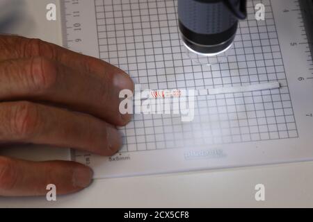 Laboratory basic tools and lateral flow Stock Photo