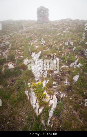 Vivid, colorful flowers on a foreground rock in front of Trem summit stone on Dry mountain (Suva planina) on a misty, foggy morning Stock Photo