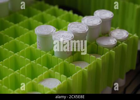 Laboratory basic tools and lateral flow Stock Photo