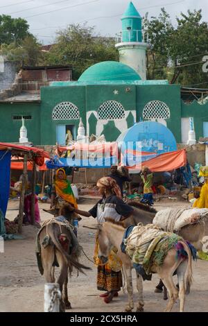 Oromo woman with donkey at market in the old town, Harar, Ethiopia Stock Photo