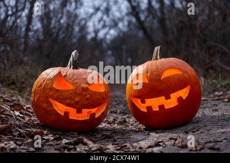 Halloween pumpkins burning in forest at night, holiday concept Stock Photo