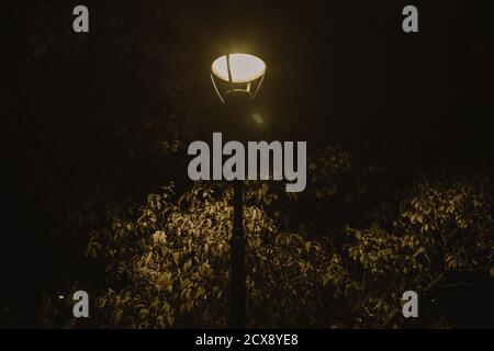 beautiful glowing street lamp in the park at night Stock Photo - Alamy