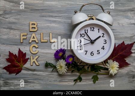 FALL BACK Daylight Saving Time concept with white alarm clock and fresh fall flowers foliage on hand painted gray wood board flat lay Stock Photo