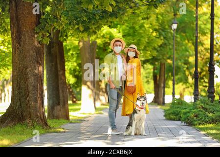 Young couple with medical masks walking cute Husky dog in park. Concept of epidemic Stock Photo