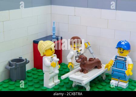 Florianopolis, Brazil. September 19, 2020: Vet minifigure giving injection to a Dachshund dog while a nurse distracts him with a bone at clinic. Conce Stock Photo