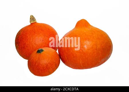 Ripe orange pumpkin and slices isolated on a white background. Composition of round orange pumpkins isolated on a white background. Symbol of Hallowee Stock Photo