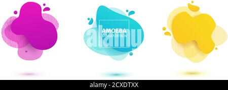Amoeba liquid design. Dynamical colored forms of amoeba. Modern banner template for logo, flyer, presentation design. Yellow, red, blue colors Stock Vector