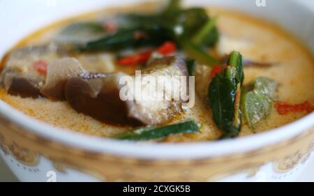 Sayur lodeh or curried vegetables on white background. Traditional Indonesian dish consisting of cabbage, long beans and eggplant,. Stock Photo