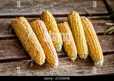 Peeled ears of corn lie on a wooden bench close-up. Stock Photo