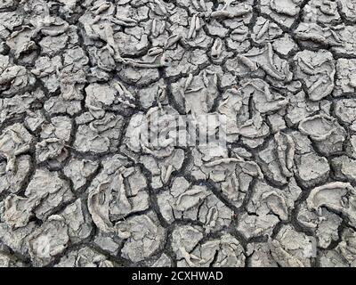 Cracked soil texture. Dry earth. Desert ground background. Unusual patterns on dried gray mud. Cracked ground during a drought. Stock Photo