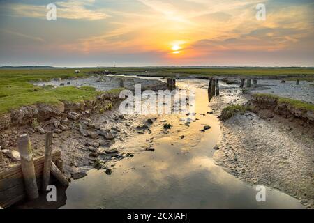 Tidal channel in salt marshland with natural meandering drainage system on wadden island of Ameland in Friesland, Netherlands Stock Photo