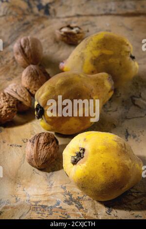 Three whole juicy quinces with whole and split walnuts over natural brown stone surface in sunlight. Stock Photo