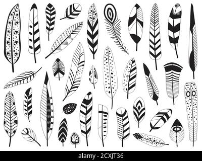 Black and White Bird Feather Silhouettes Set Stock Vector