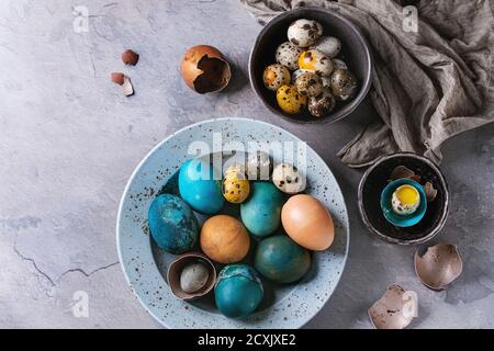 Colored Easter blue brown chicken and quail eggs, whole and broken with yolk in shell in spotted plate and black bowls with textile over gray textured Stock Photo