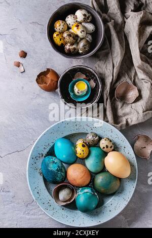 Colored Easter blue brown chicken and quail eggs, whole and broken with yolk in shell in spotted plate and black bowls with textile over gray textured Stock Photo