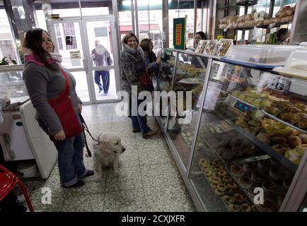 guide dogs for the blind store