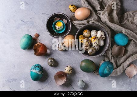 Colored Easter blue brown chicken and quail eggs, whole and broken with yolk in shell in spotted plate and black bowls with textile over gray textured Stock Photo