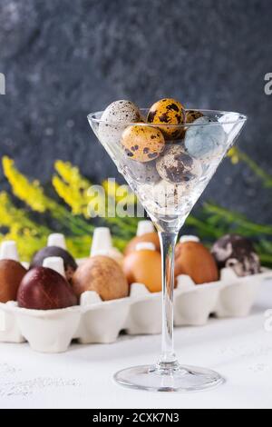Brown and gray colored chicken and quail Easter eggs in paper box and cocktail glass with yellow flowers bouquet over white and gray concrete texture Stock Photo