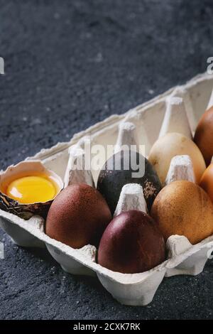 Brown and gray colored chicken Easter eggs in paper box with yolk over black concrete texture background. Copy space Stock Photo