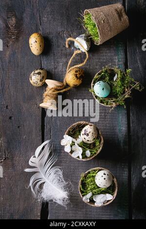 Decor colorful Easter quail eggs with spring cherry flowers, moss, spool of thread in small garden pots over old wooden background. Dark rustic style. Stock Photo