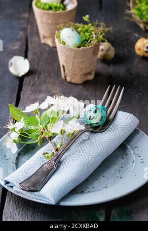 Table setting decor colorful Easter quail eggs with spring cherry flowers, moss in garden pots, empty plates, cutlery over old wood background. Dark r Stock Photo
