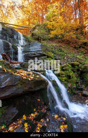 waterfall in the autumn forest. trees in colorful foliage. water runs among the rocks. fallen leaves on the shore. beautiful fall scenery on a sunny d Stock Photo