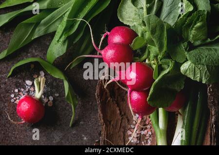 Rustic lunch breakfast with fresh young vegetables radish, spring onion, garlic leaves and salt on wooden bark over dark texture metal background. Top