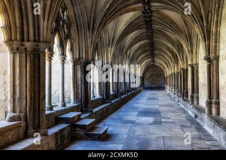 Norwich Cathedral cloisters, Norfolk, England Stock Photo