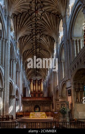 Norwich Cathedral Interior, Norfolk Stock Photo