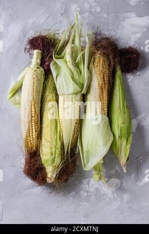 Young raw uncooked corn cobs in leaves. Top view over light gray concrete texture background. Stock Photo