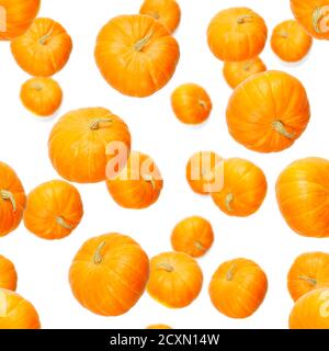 Seamless pattern with pumpkin. Autumn abstract seamless pattern made from Pumpkins on the white background. Pumpkin quality pattern. Stock Photo