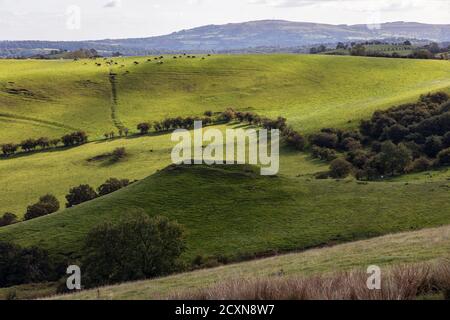 Robins Tump and the Wilderness, Shropshire Hills, near Church Stretton, Shropshire Stock Photo