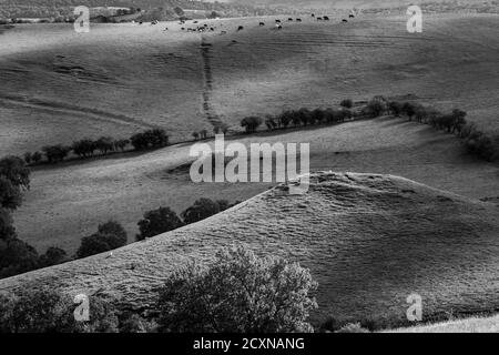 Robins Tump and the Wilderness, Shropshire Hills, near Church Stretton, Shropshire Stock Photo