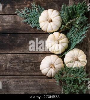 Holiday decoration with white decorative pumpkins and thuja branches over old dark wooden background. Top view with copy space Stock Photo