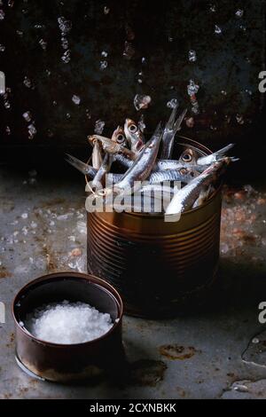 Lot of raw fresh anchovies fishes in tin can on crushed ice with pink and sea salt over old dark metal background. Sea food background theme. Stock Photo